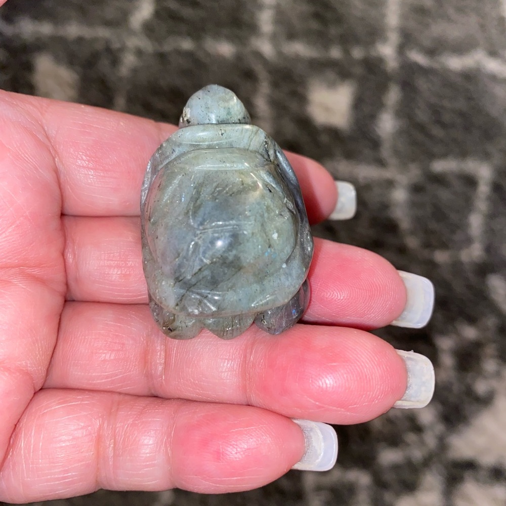 Crystal turtles - Picture 9 of 16